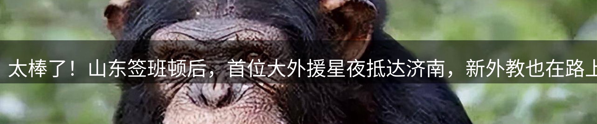 焦点看台